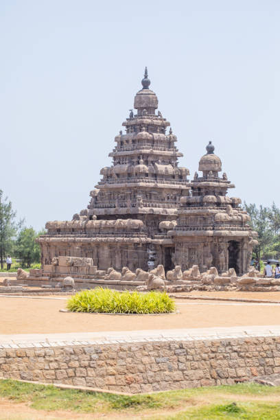 Chennai, Tamil Nadu, IND